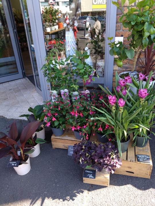 Resized_1000002325 Resized_1000002325