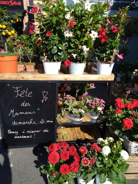 Resized_1000002329 Resized_1000002329