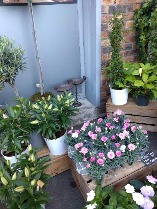 Resized_1000002337 Resized_1000002337