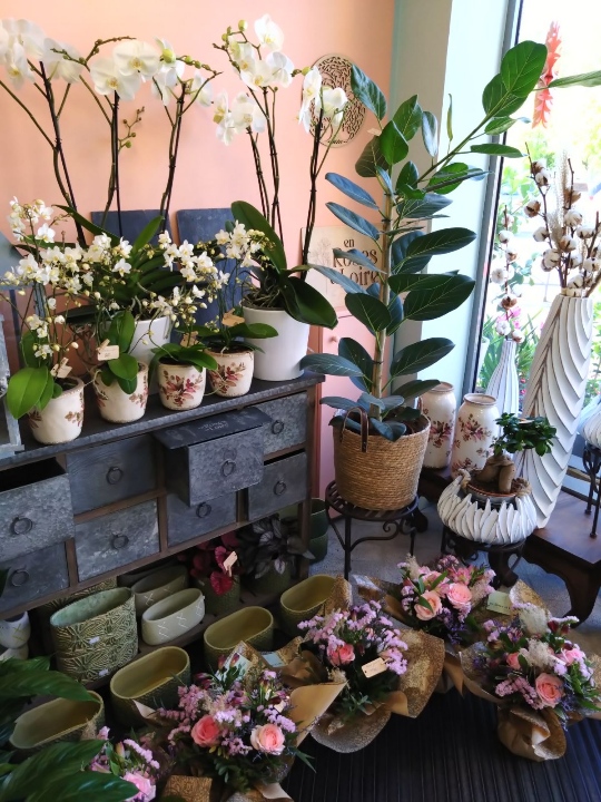 Resized_1000002345 Resized_1000002345