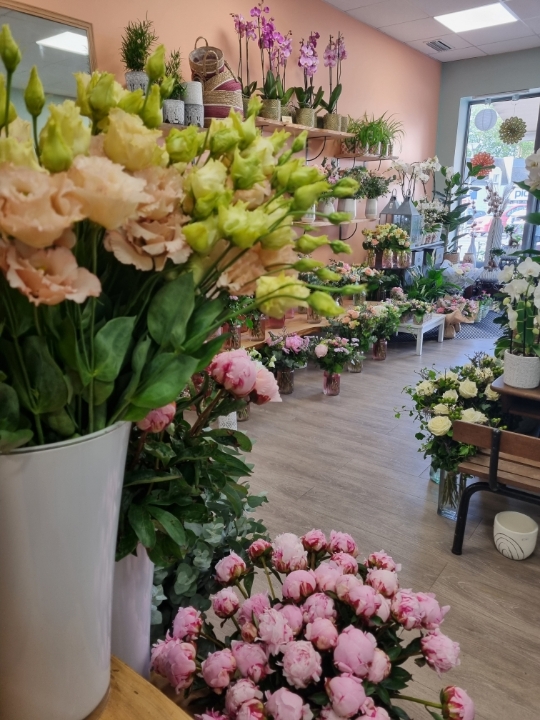 Resized_Resized_20240526_092719_1716788018817 Resized_Resized_20240526_092719_1716788018817