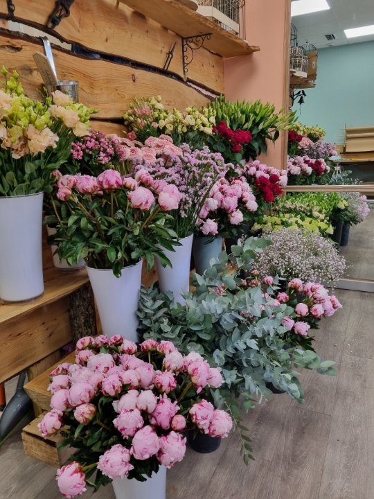 Resized_Resized_20240526_102555_1716788010455 Resized_Resized_20240526_102555_1716788010455